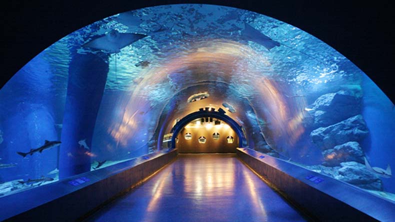 Shinagawa Aqua Park