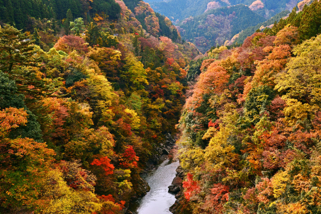 Chichibu Tama-Kai National Park 