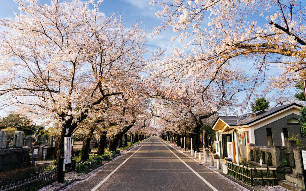 Yanaka Cemetery