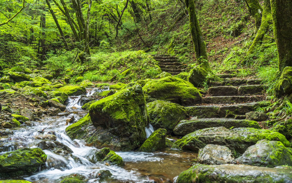 mount mitake