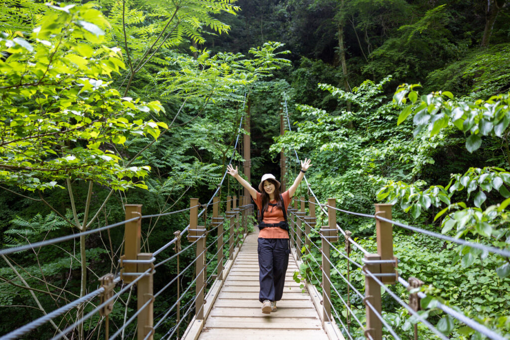 Mt Takao