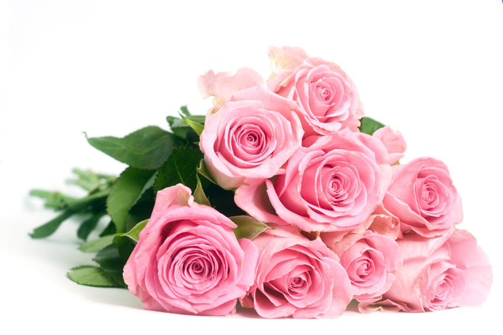 Flowers To Give Thanks