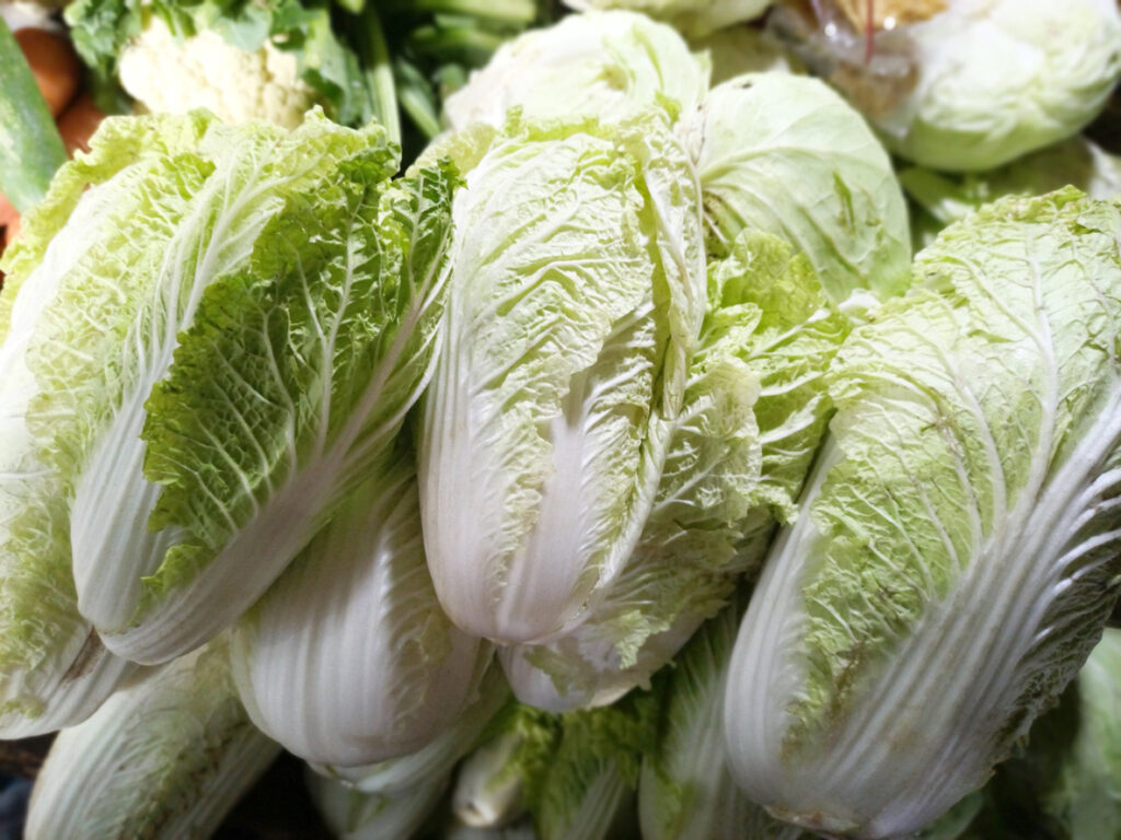 winter vegetables Japan