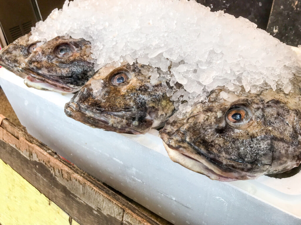 Kajika: Japanese Sculpin