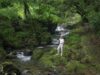 Okuizumo: Timeless Beauty Forged in the Heart of Japan