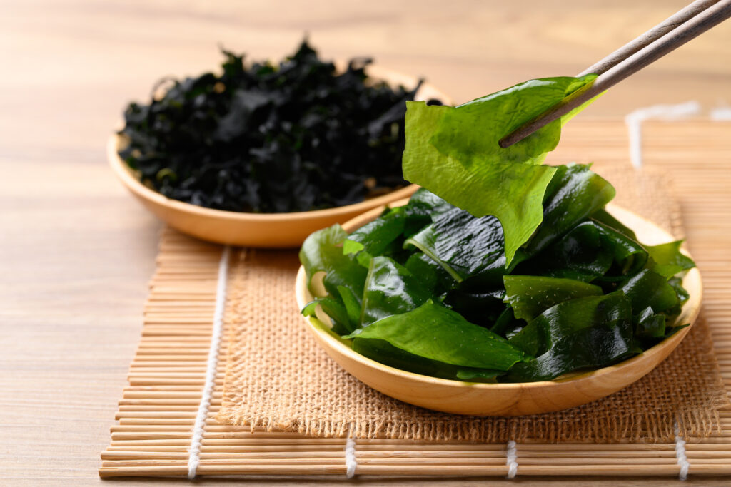 Wakame Seaweed (わかめ) Natural Japanese Skincare Ingredients