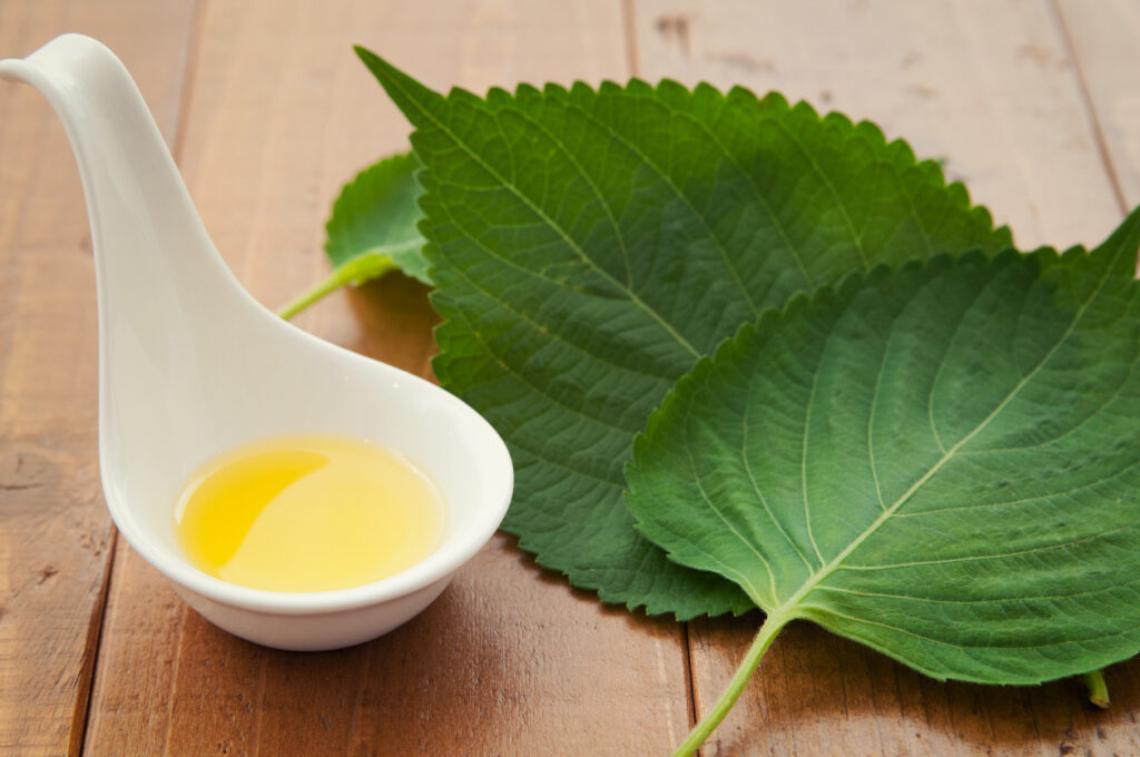 Shiso Leaf (しそ) Natural Japanese Skincare Ingredients